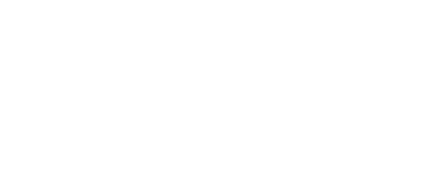 Der Wanderndes Puppentheater wird gespielt von Ton Vaes aus Amsterdam und seiner frechen Handpuppe namens Japie Apie (Apie heißt Affe). Dieser freche Affe spielt eine Hauptrolle. 
Er wird mit den Kindern, denen er begegnet spielen, Spaß haben, freche oder freundliche Fragen stellen oder einfach tun was ihm einfällt. 
Mit ganz kleinen Kindern tanzt er oder fragt wie er oder sie heißen. 
Alles was der Ronzebons während des Umherlaufens tut, ist improvisiert. Es kann aber auch einmal passieren, daß sich ganz viele Kinder versammeln. Dann kann es sogar ein richtiges Schauspiel geben, in dem  auch andere Puppen auftreten. Das Hündchen namens Wisky kann dabei sein, oder die Hexe kann für eine spannende Geschichte sorgen.
Unvergeßliche Momente gibt es, wenn der Ronzebons sich hinkniet, um ganz persönlich mit einem Kind zu sprechen. 

Immer wird der Wanderndes Puppentheater eindrucksvolle Erinnerungen bei den Kindern zurücklassen, daß sie später sagen können: „Ich war beim Puppentheater”. 
Und schließlich genießen auch die Erwachsenen...  Contact!